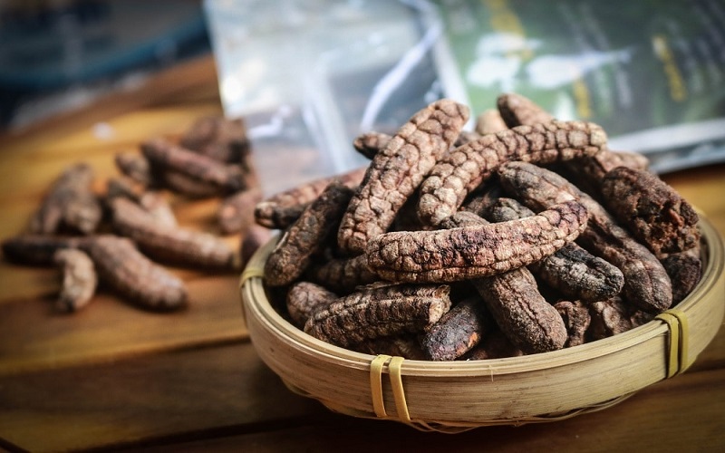 Chuối hột rừng Tây Nguyên