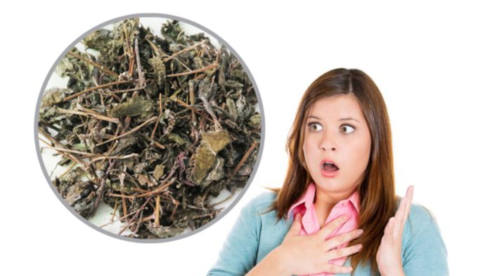 Những ai không nên uống Trà Dây