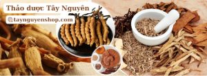 Thảo dược Tây Nguyên