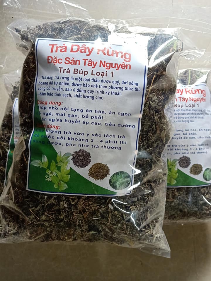 Trà dây rừng Tây Nguyên
