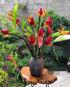 Hoa chuối rừng: vẻ đẹp hoang sơ giữa đại ngàn